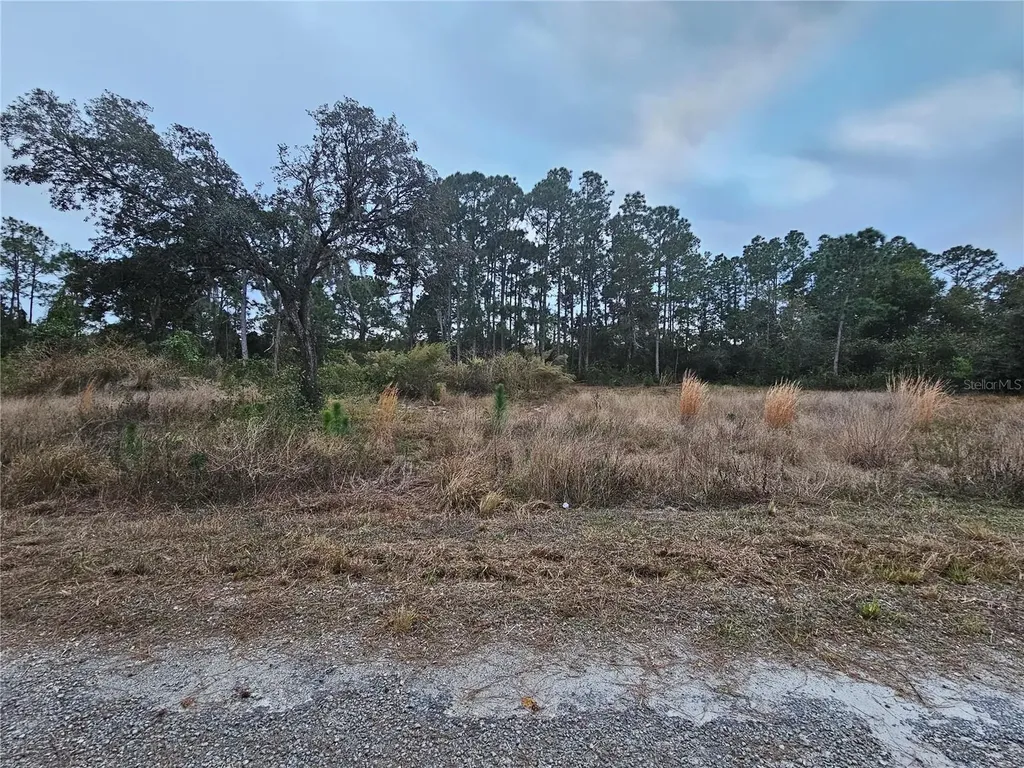 3348 Dorado Avenue Lake Placid FL 33852