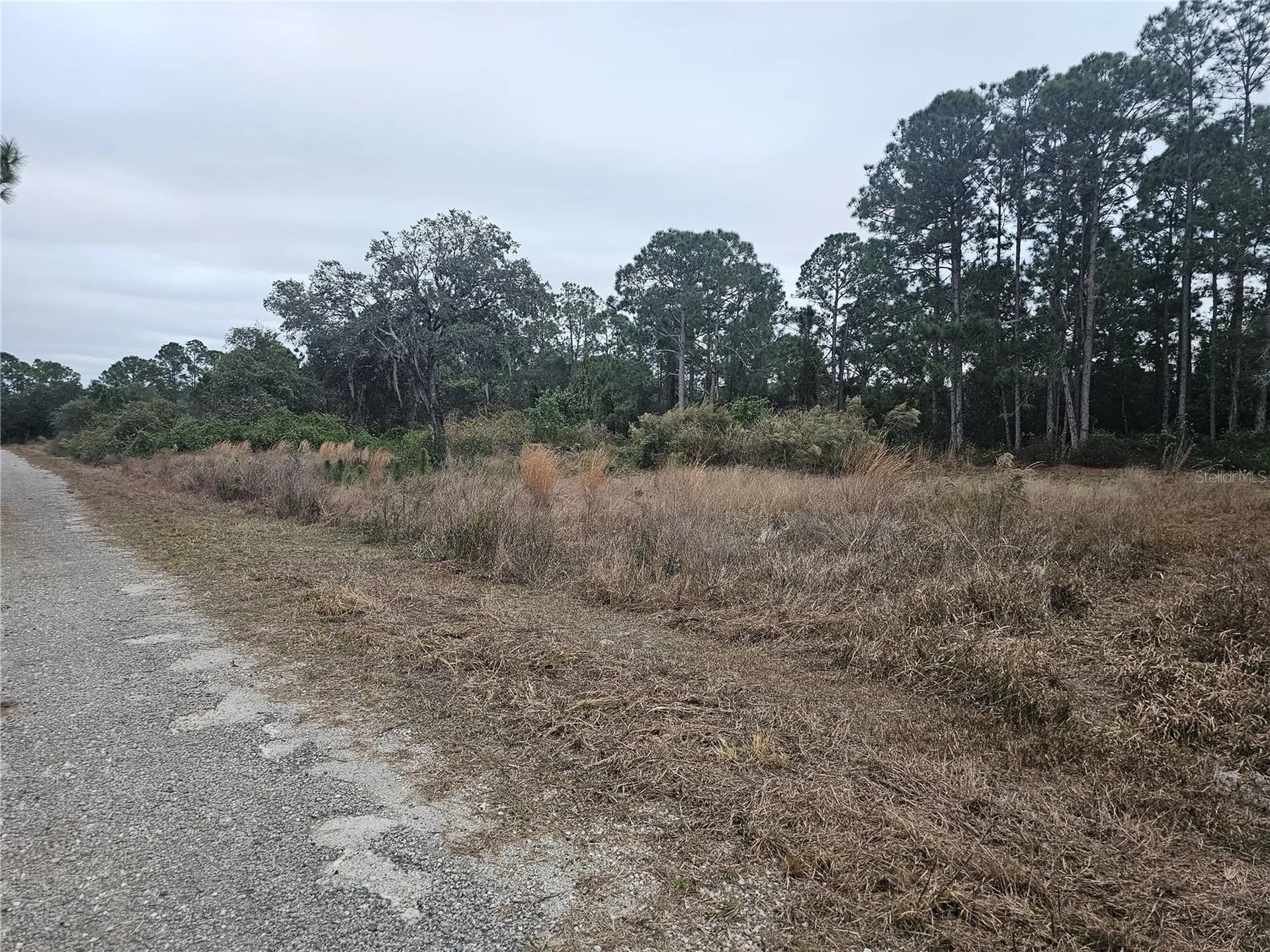 3348 Dorado Avenue Lake Placid FL 33852