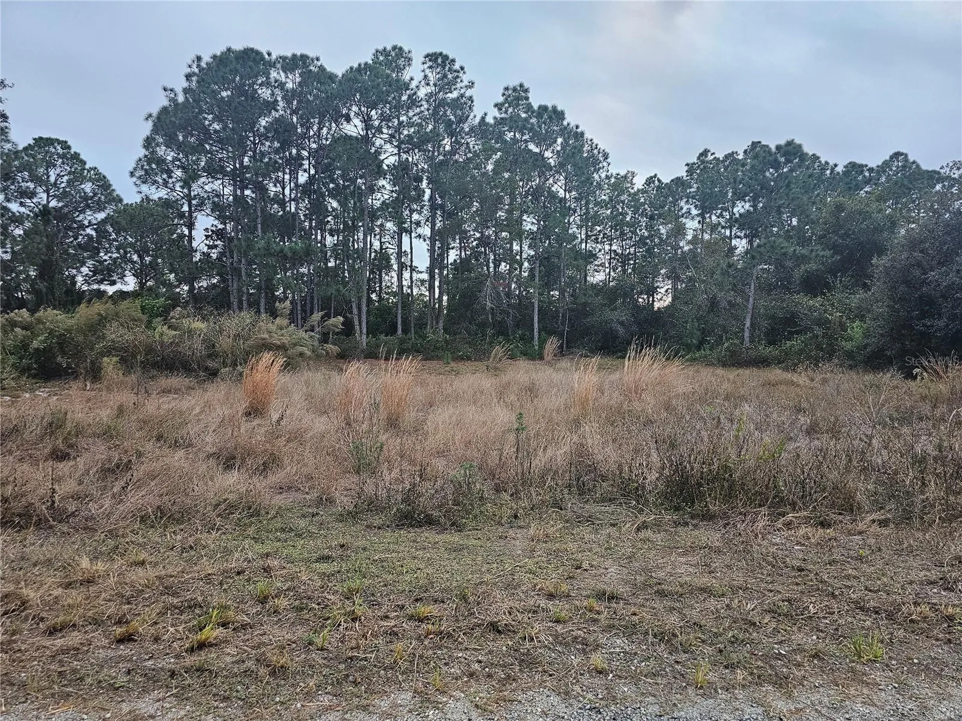 3348 Dorado Avenue Lake Placid FL 33852