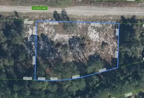 3348 Dorado Avenue Lake Placid FL 33852