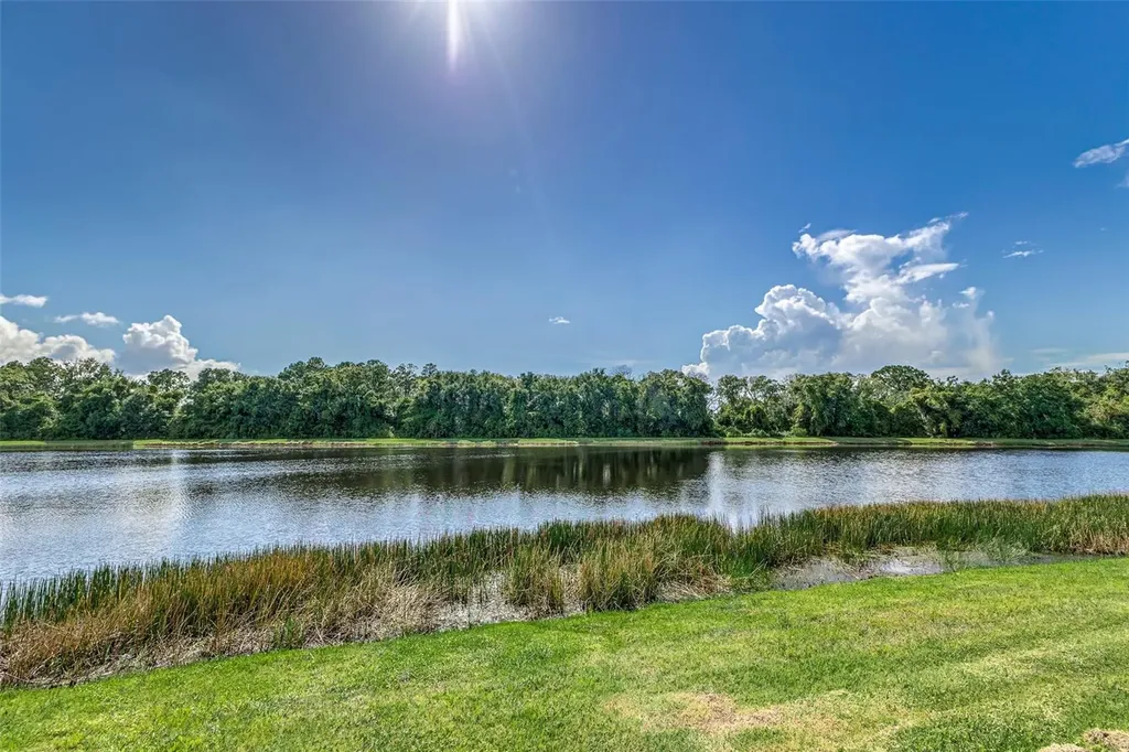 5330 Silver Sun Drive Apollo Beach FL 33572