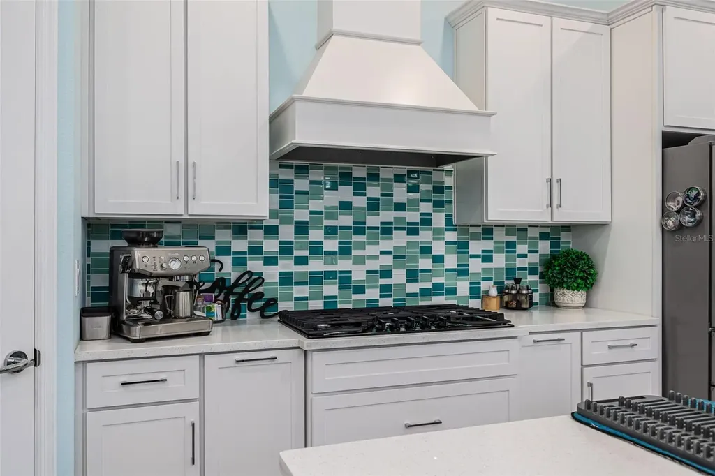 5330 Silver Sun Drive Apollo Beach FL 33572