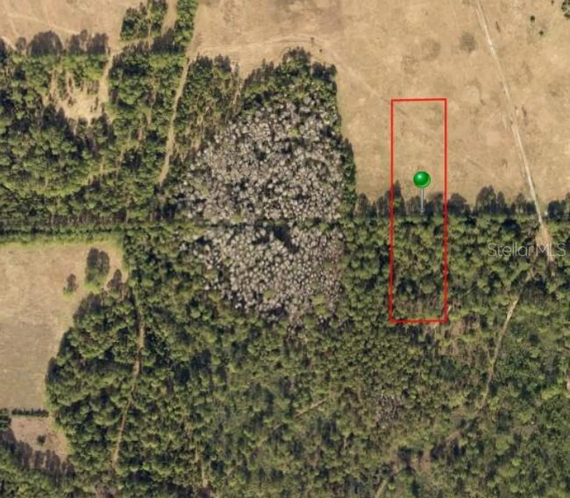 No Address Deland FL 32724