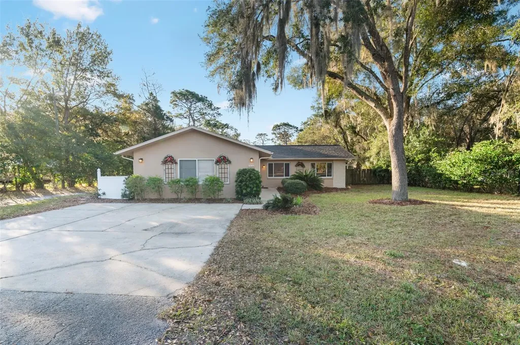 10620 Fawn Drive New Port Richey FL 34654