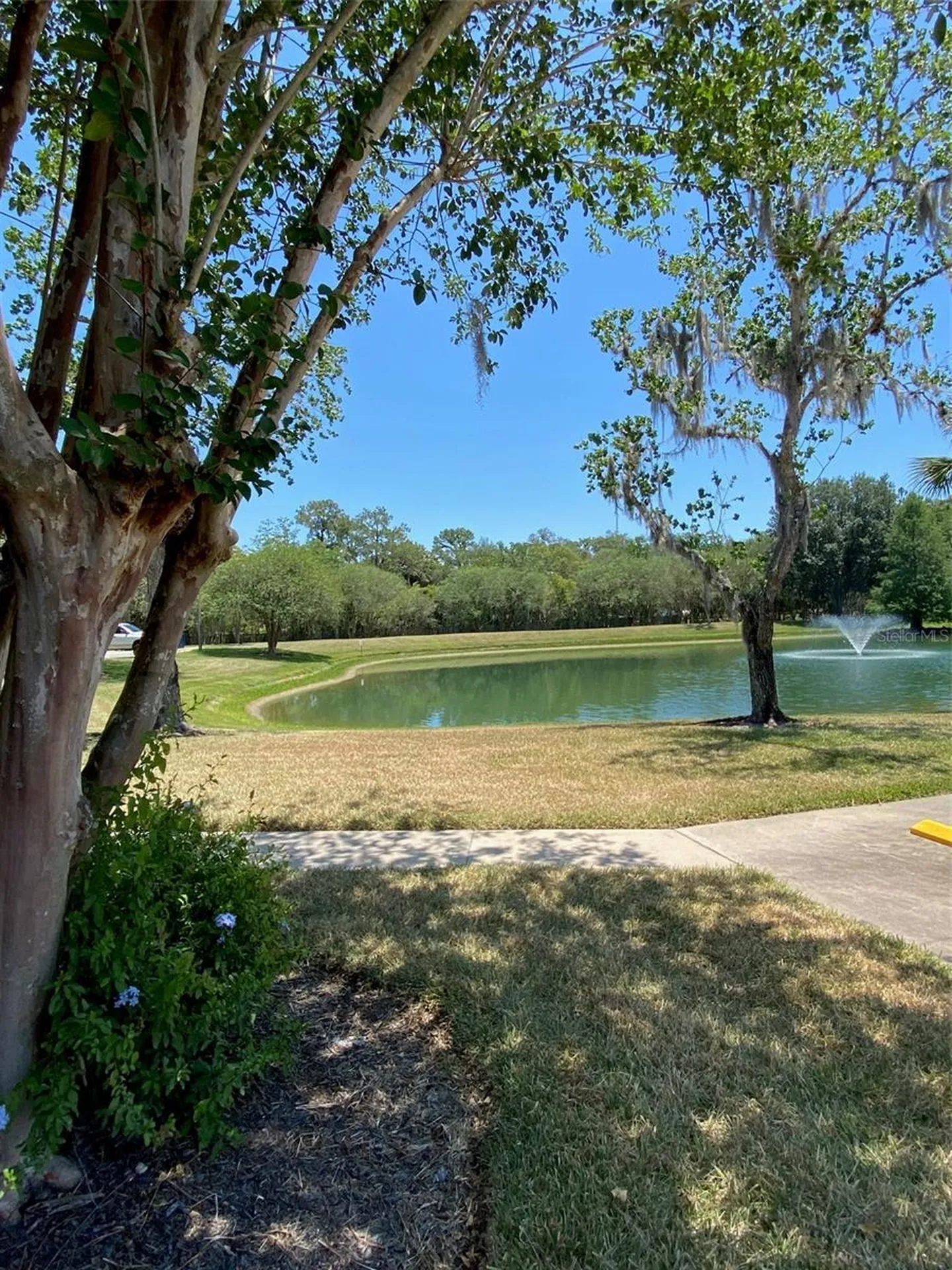 1004 Royal Oak Boulevard Leesburg FL 34748