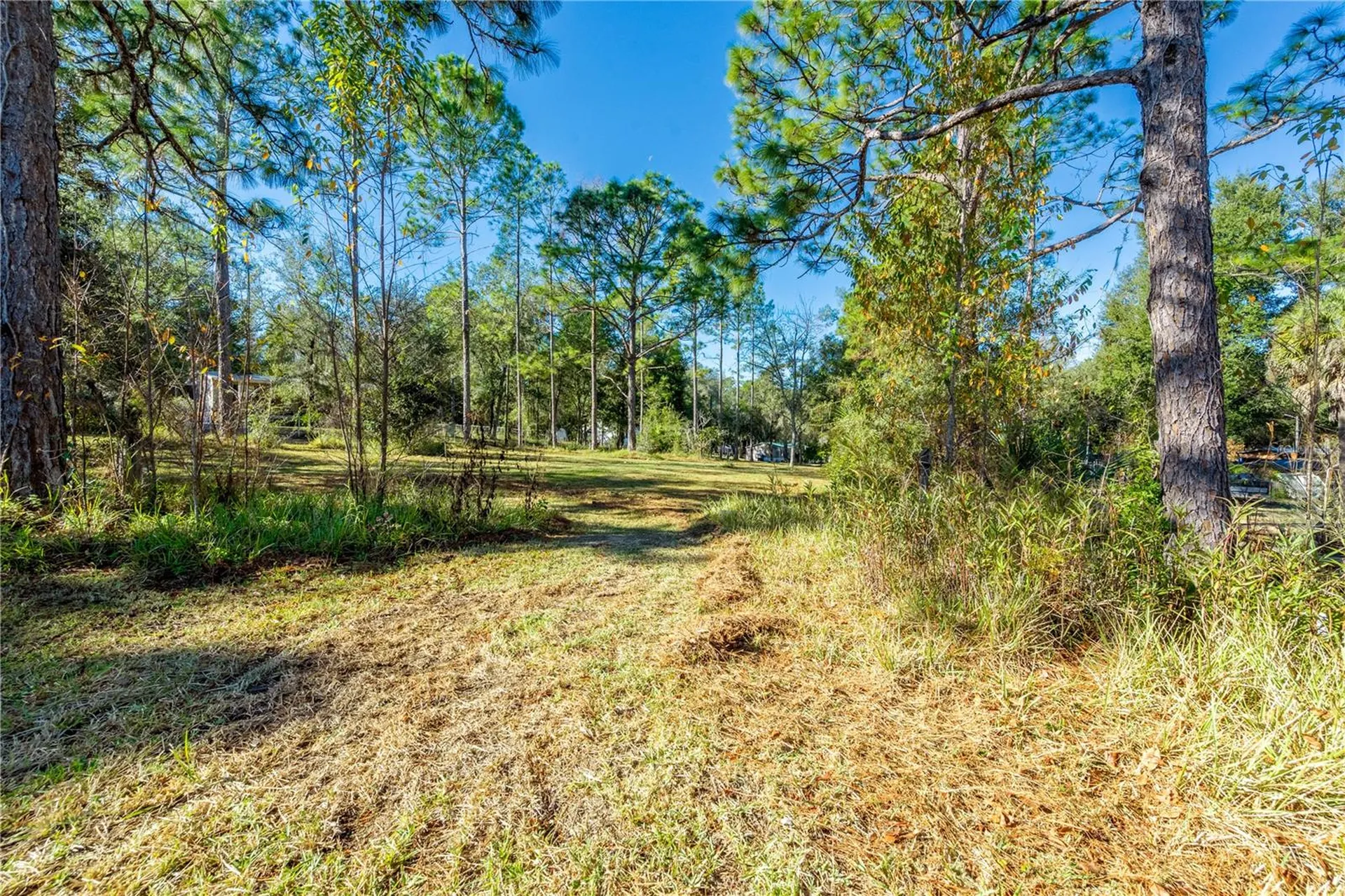 11216 NE 63rd Place Williston FL 32696