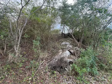 3 Windhorse Farm Vieques PR 00765