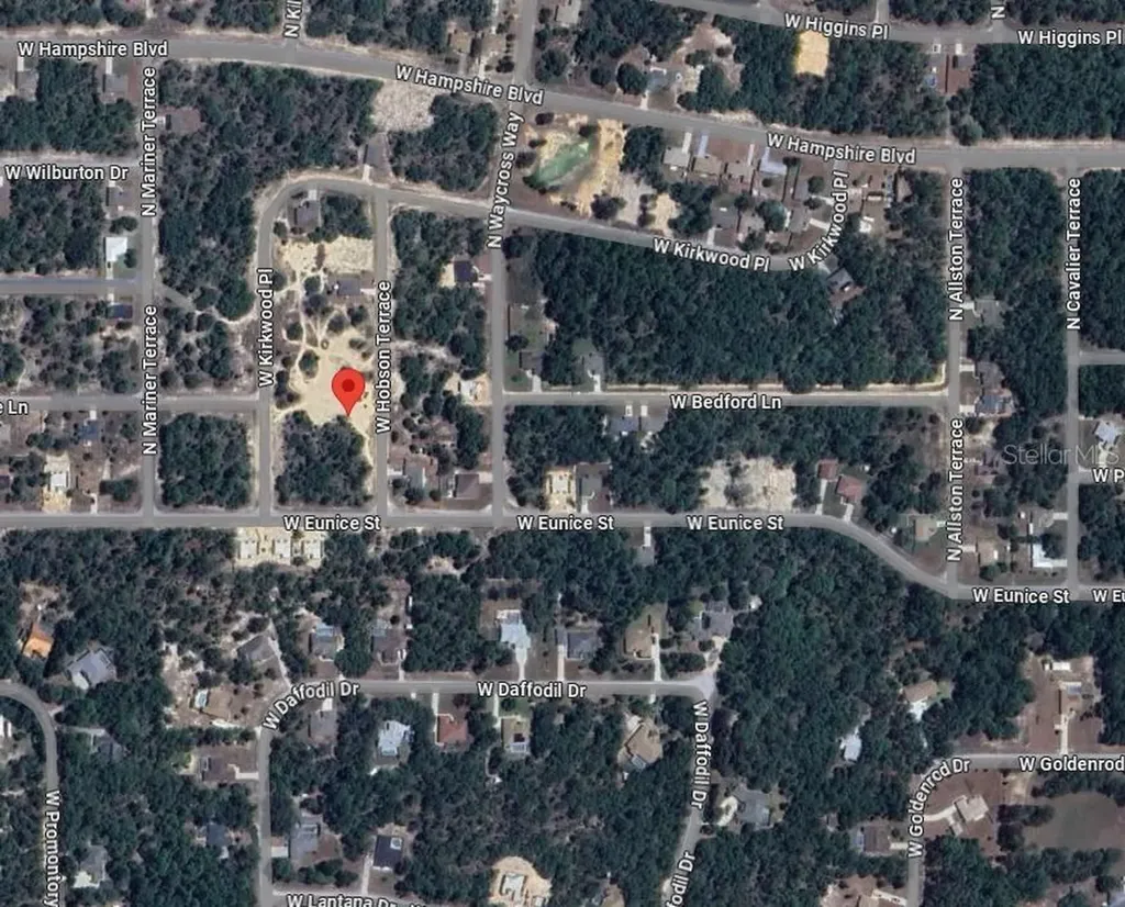 6248 N Hobson Terrace Dunnellon FL 34433