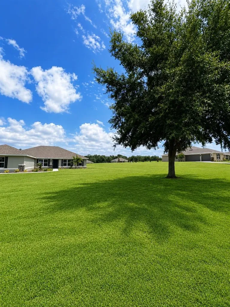 37136 Hidden View Dade City FL 33523