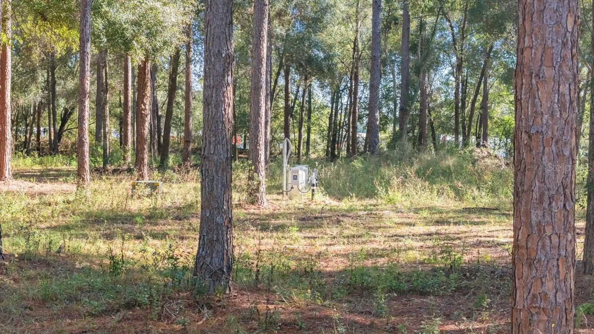 24238 Deep Springs Loop Eustis FL 32736