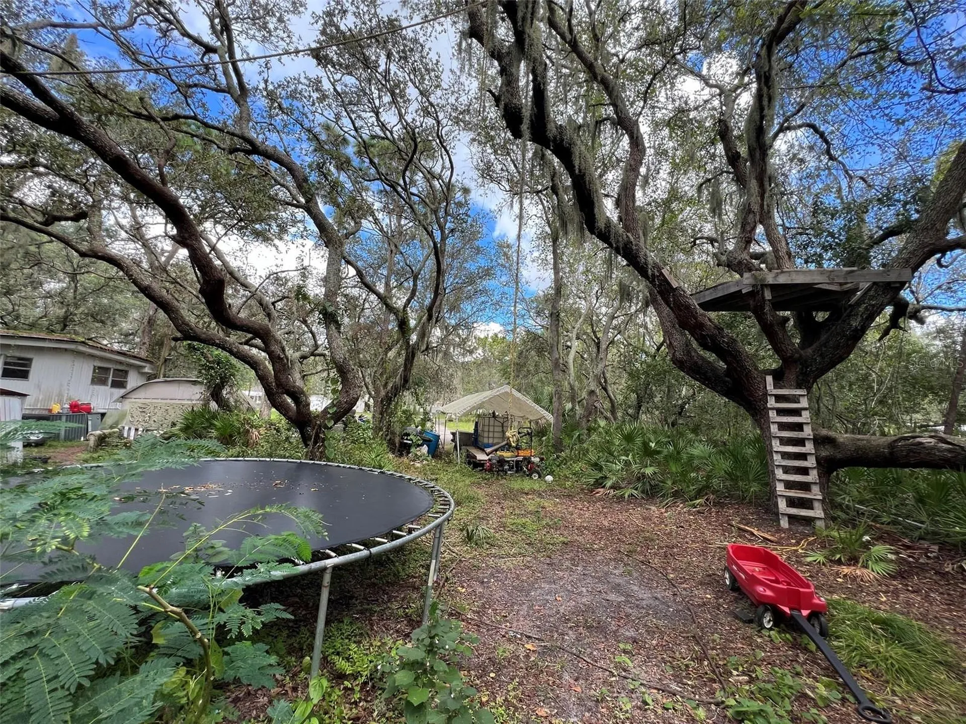 11117 Mcmullen Road Riverview FL 33569