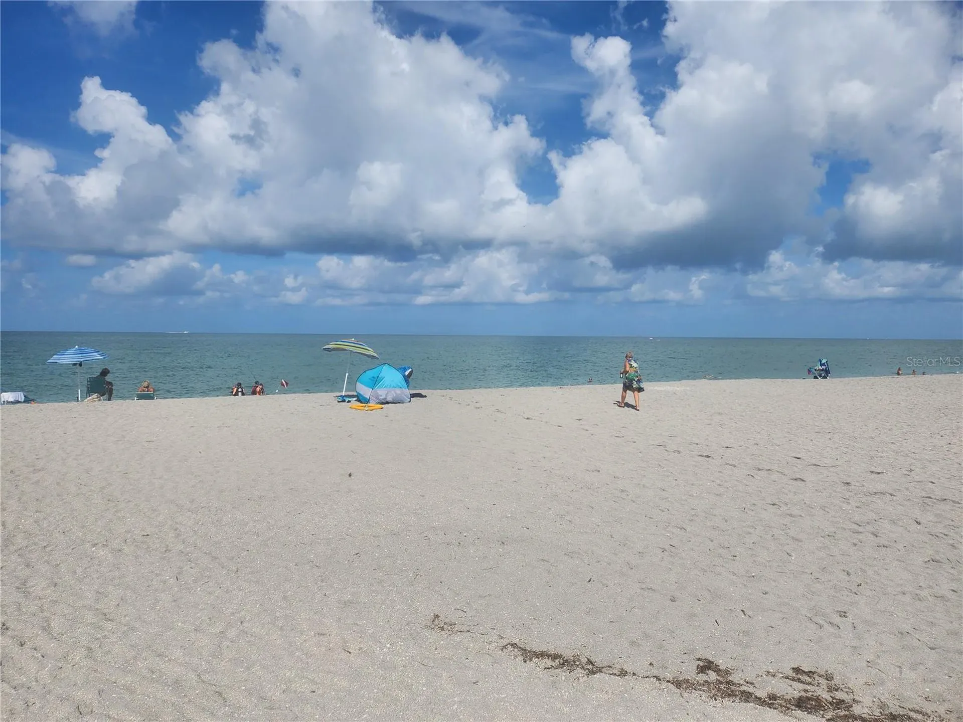 443 Belmont Avenue Venice FL 34293