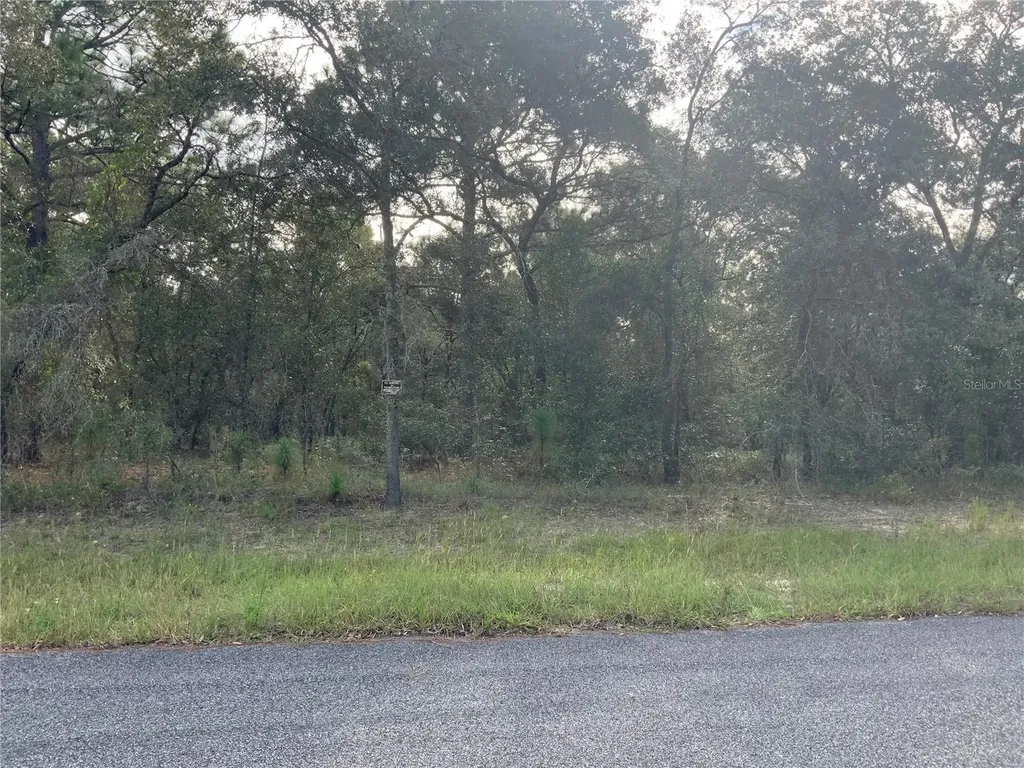 00 SE 136th. Lot 9 Terrace Morriston FL 32668