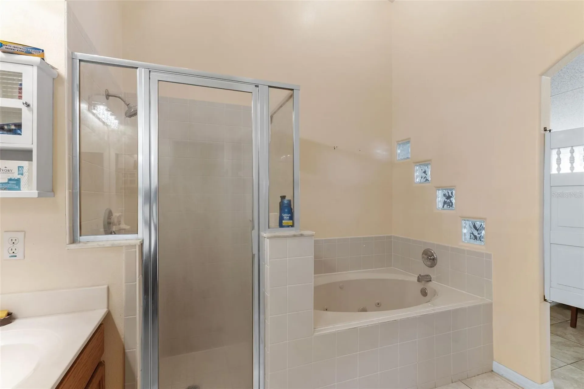 226 Jessamine Drive Davenport FL 33837