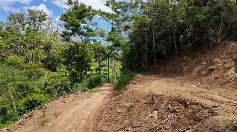 Km. 2.0 414 Street Rincon PR 00677