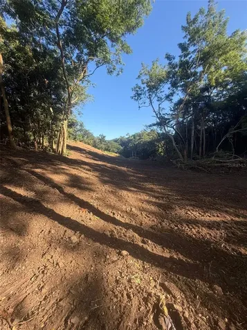 Km. 2.0 414 Street Rincon PR 00677
