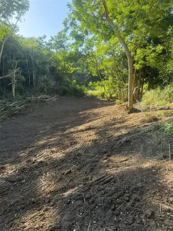 Km. 2.0 414 Street Rincon PR 00677