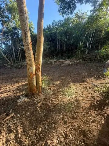 Km. 2.0 414 Street Rincon PR 00677