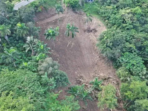 Km. 2.0 414 Street Rincon PR 00677