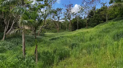 Km. 2.0 414 Street Rincon PR 00677