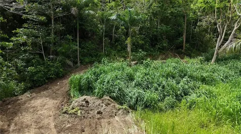 Km. 2.0 414 Street Rincon PR 00677