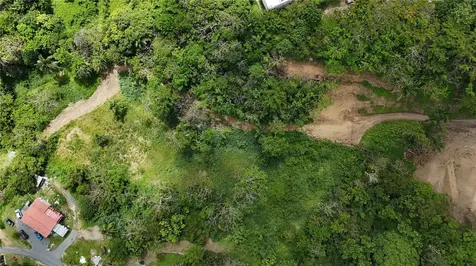 Km. 2.0 414 Street Rincon PR 00677