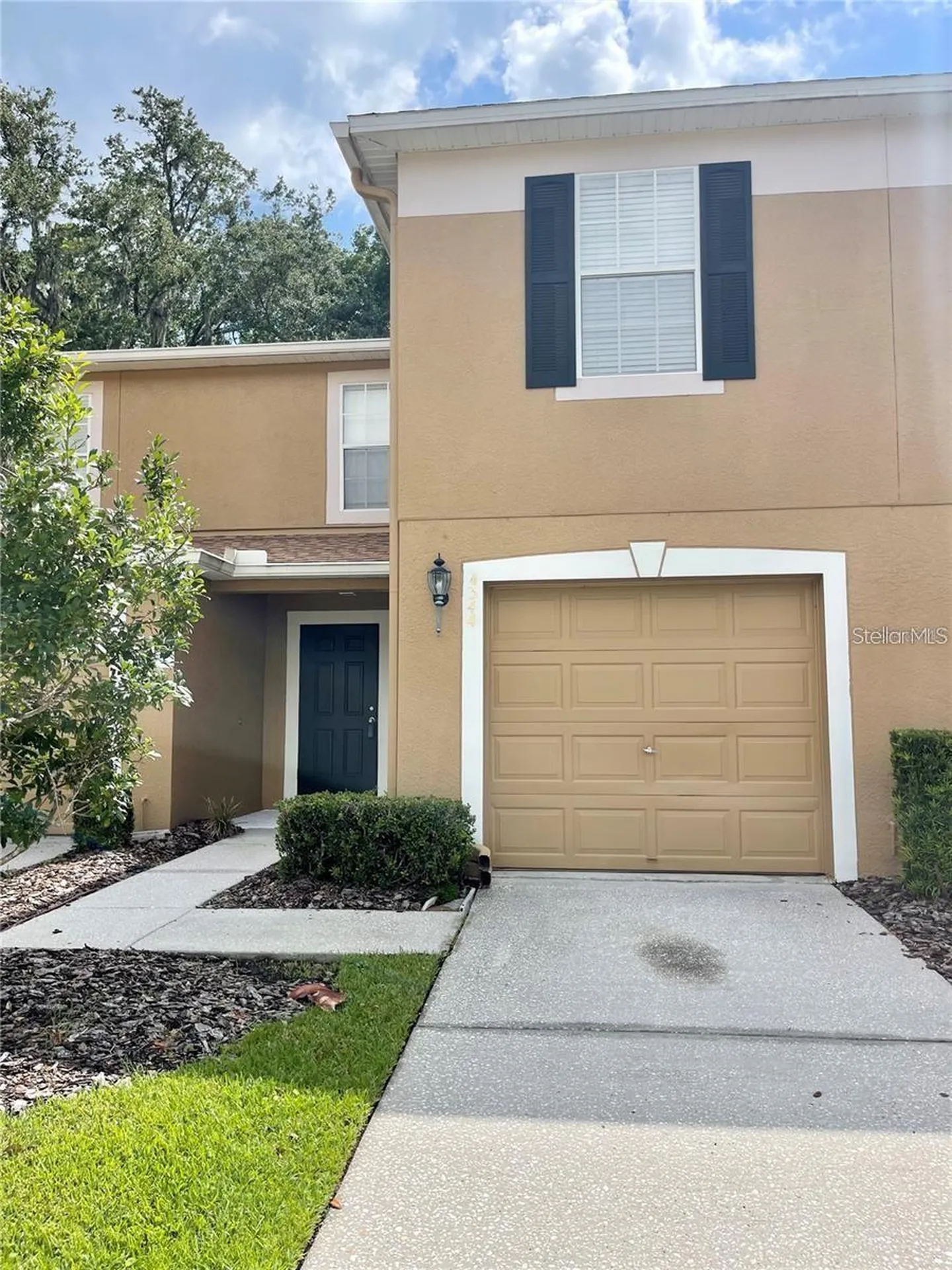 4344 Silver Falls Drive Land O Lakes FL 34639