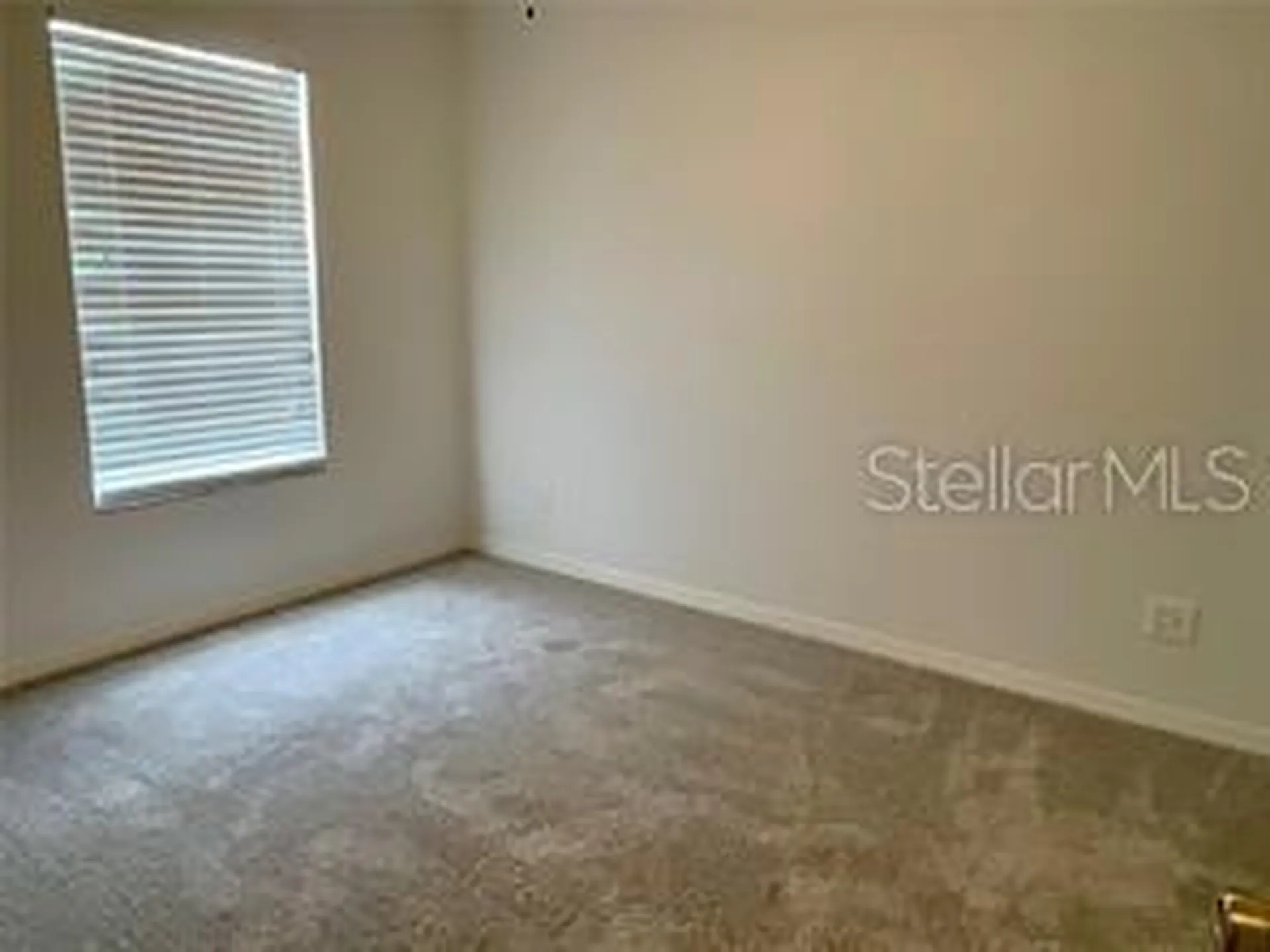 4344 Silver Falls Drive Land O Lakes FL 34639