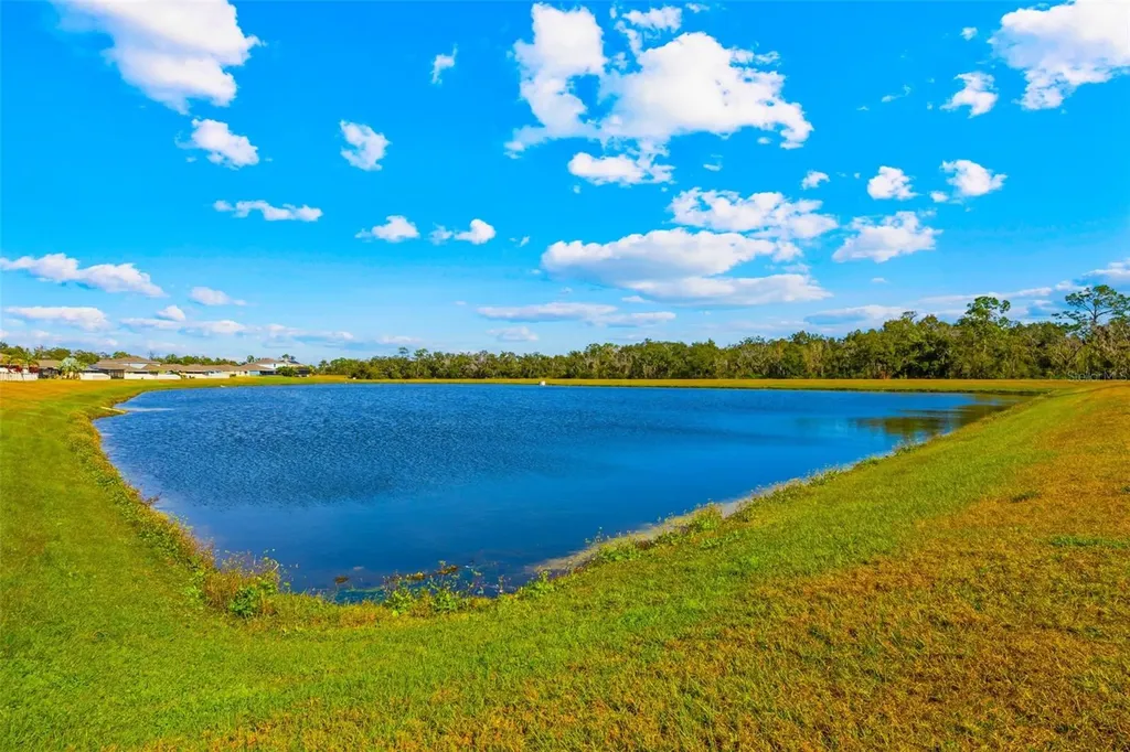 17136 White Mangrove Drive Wimauma FL 33598