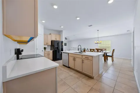 17136 White Mangrove Drive Wimauma FL 33598