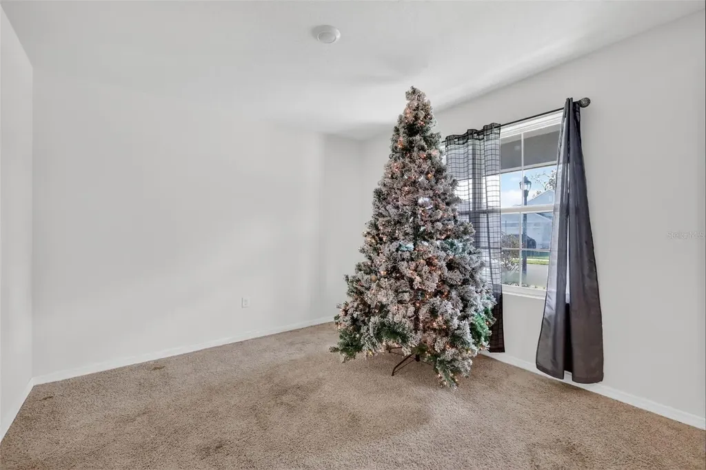 11338 Amber Ridge Drive Zellwood FL 32798