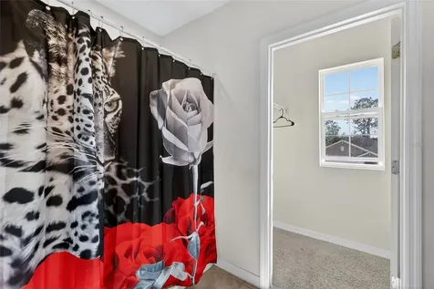 11338 Amber Ridge Drive Zellwood FL 32798