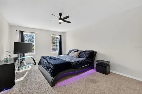 11338 Amber Ridge Drive Zellwood FL 32798