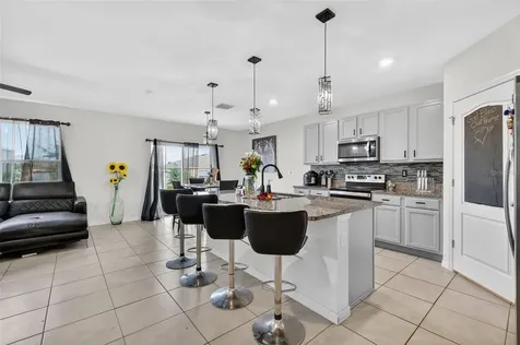 11338 Amber Ridge Drive Zellwood FL 32798