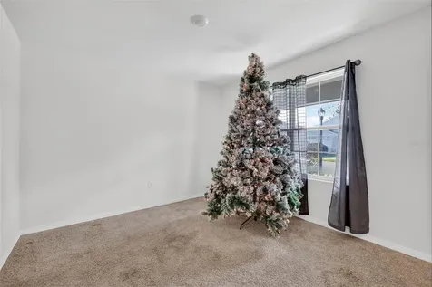 11338 Amber Ridge Drive Zellwood FL 32798
