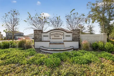 11338 Amber Ridge Drive Zellwood FL 32798