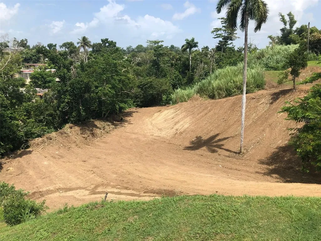 Bo Buena Vista, Carr 167 Km.hm 13.9 Bayamon PR 00956