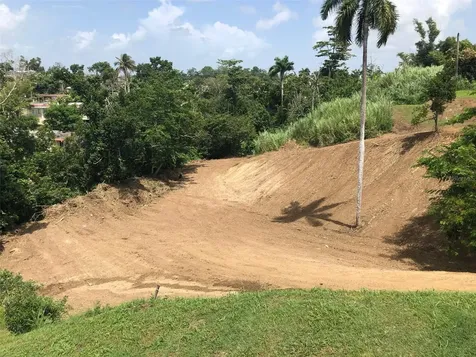 Bo Buena Vista, Carr 167 Km.hm 13.9 Bayamon PR 00956