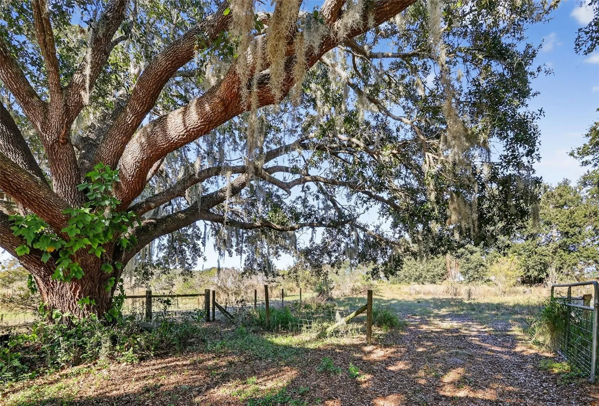 11911 Lane Park Road Tavares FL 32778