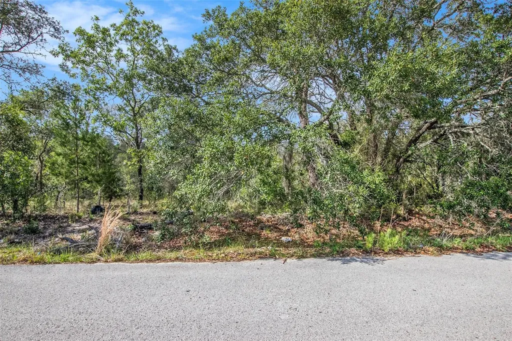 0 Shady Hills Spring Hill FL 34610