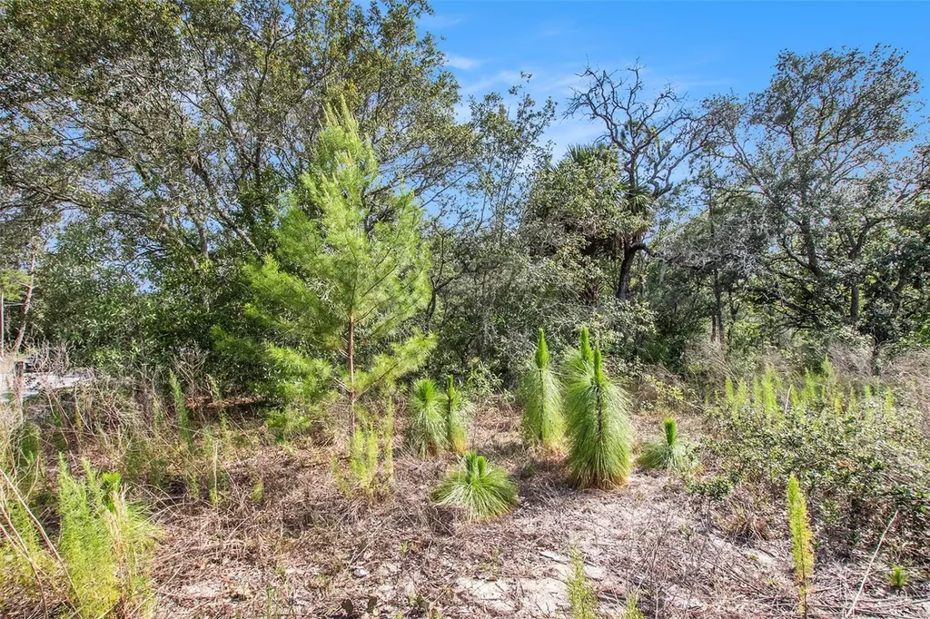 0 Shady Hills Spring Hill FL 34610