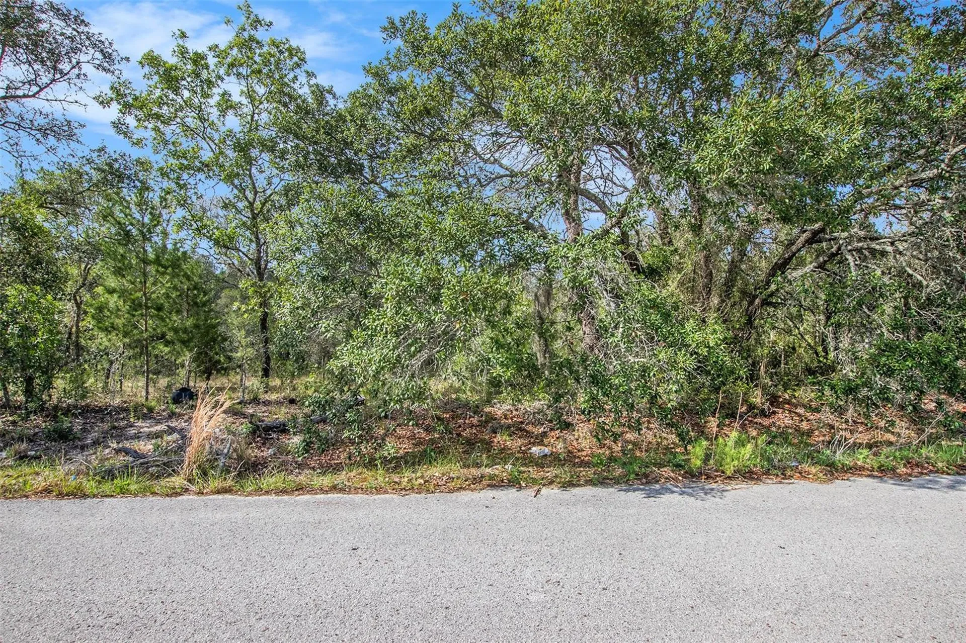 0 Shady Hills Spring Hill FL 34610
