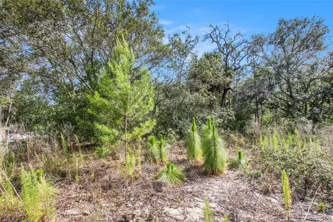 0 Shady Hills Spring Hill FL 34610