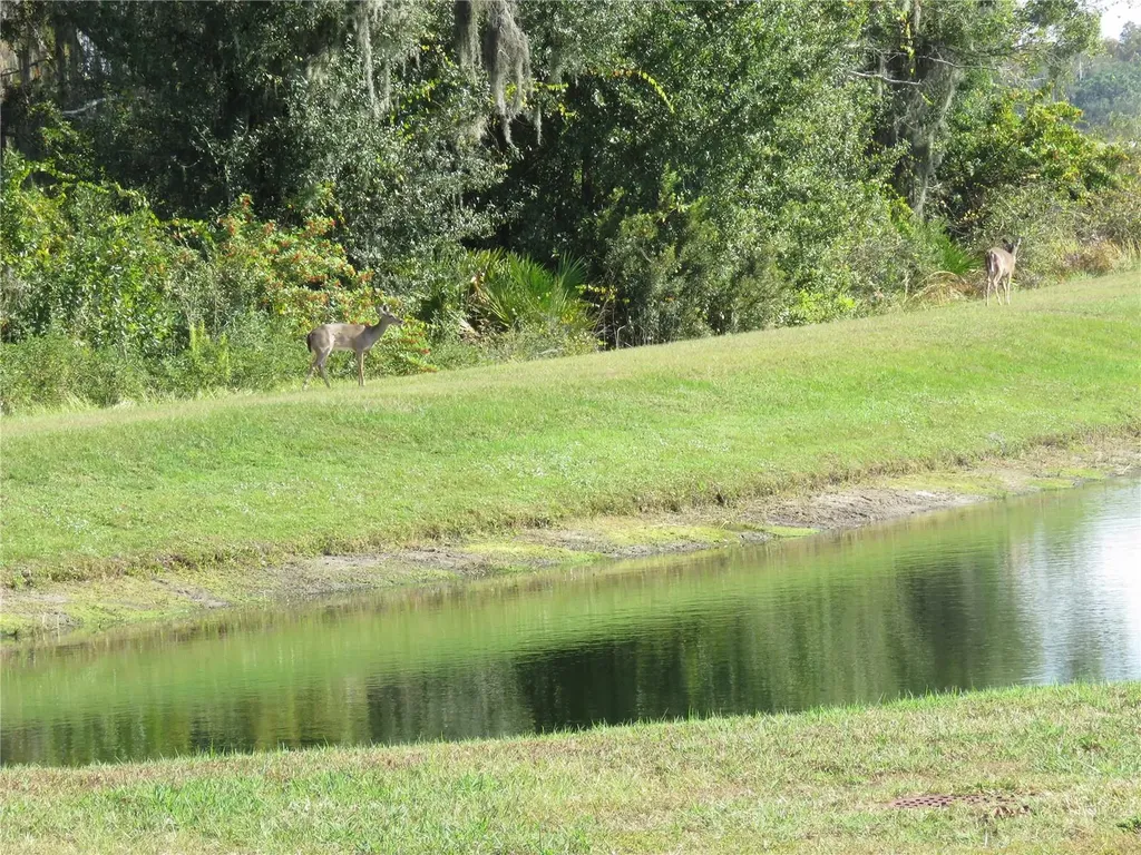 15518 Miller Creek Drive Sun City Center FL 33573