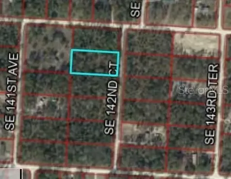 Xxxx SE 142nd Court Morriston FL 32668