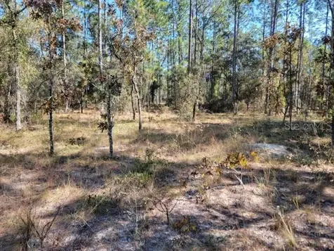 Xxxx SE 142nd Court Morriston FL 32668