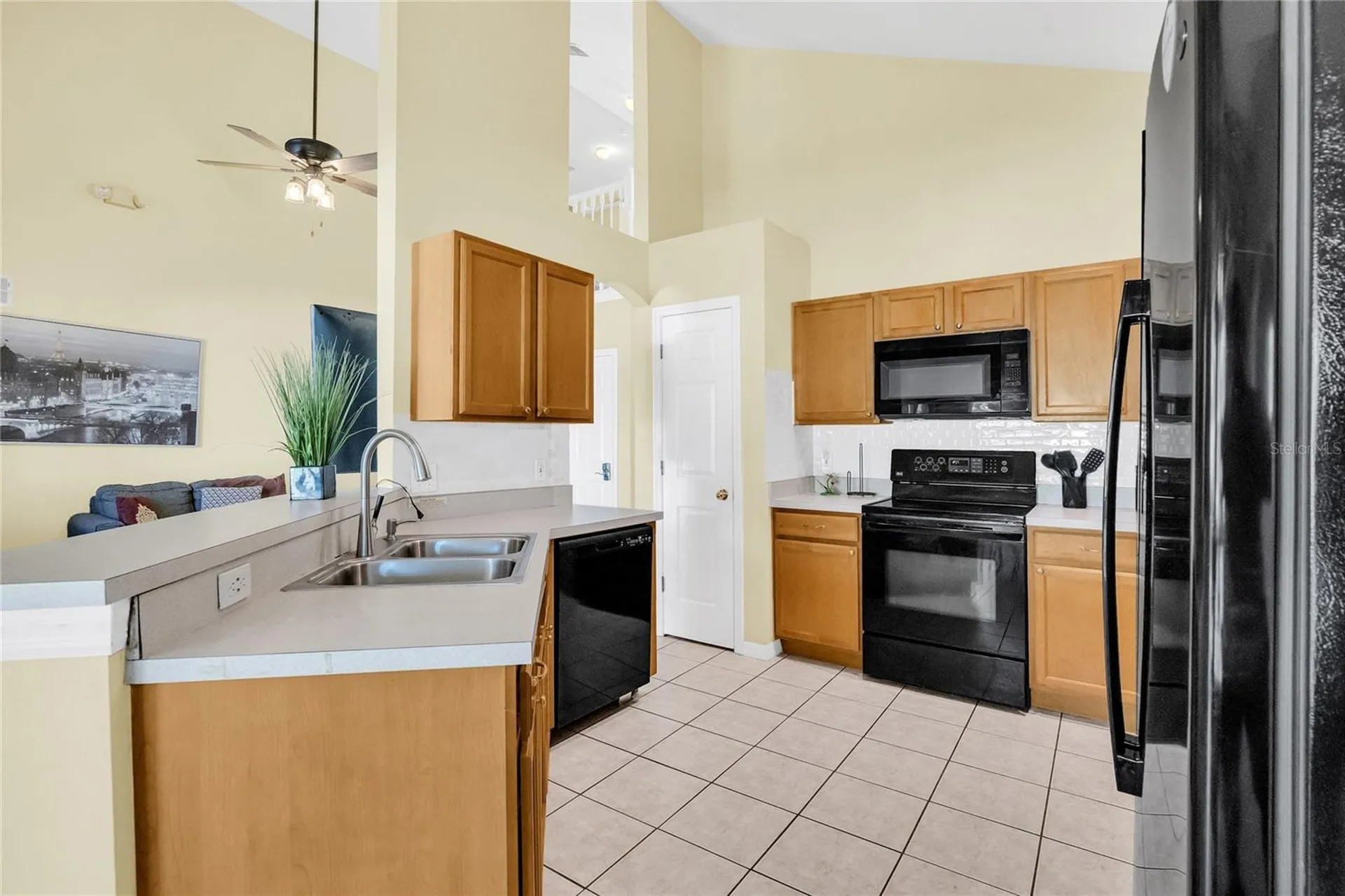 2915 Blooming Alamanda Loop Kissimmee FL 34747