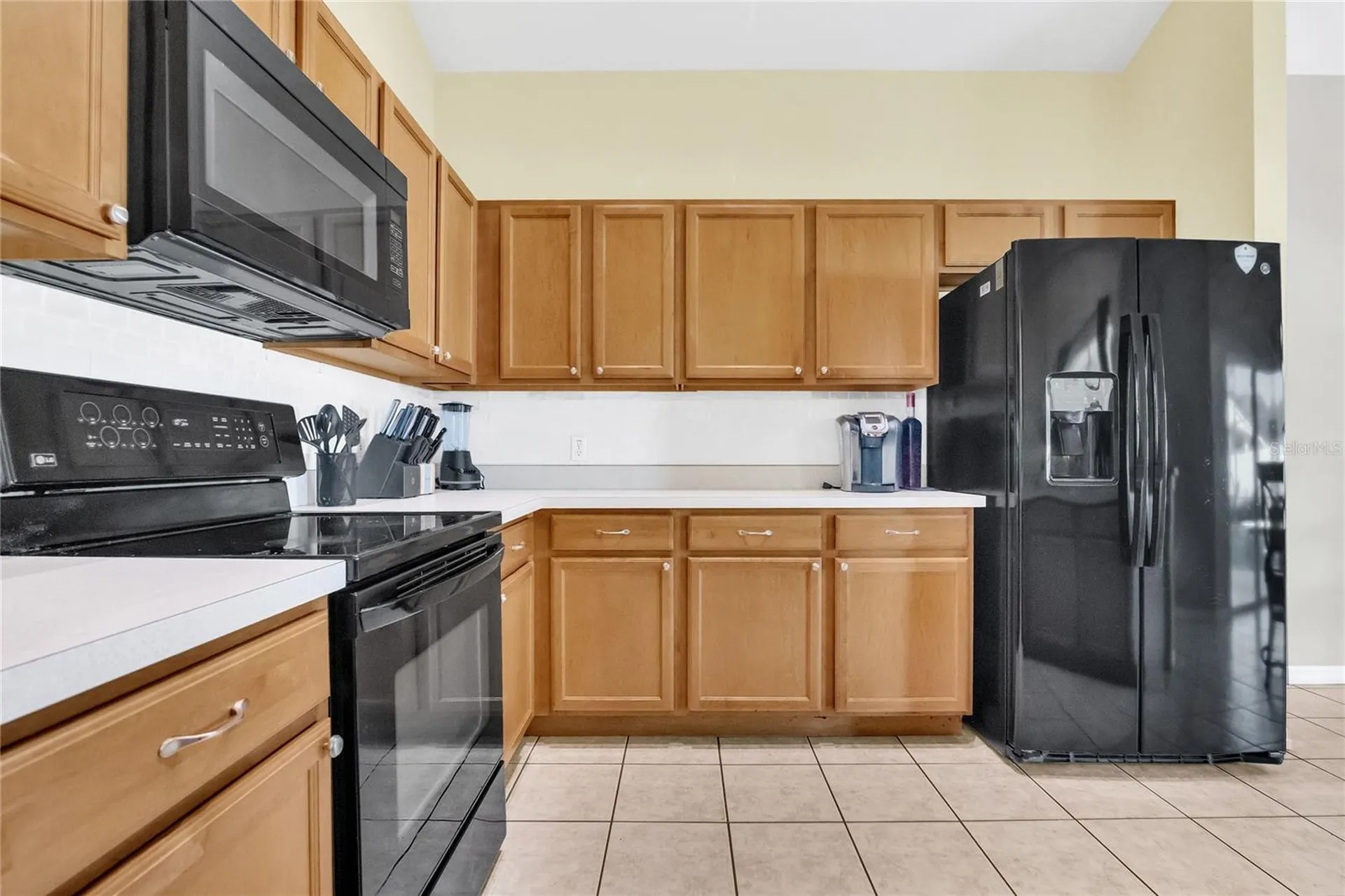 2915 Blooming Alamanda Loop Kissimmee FL 34747