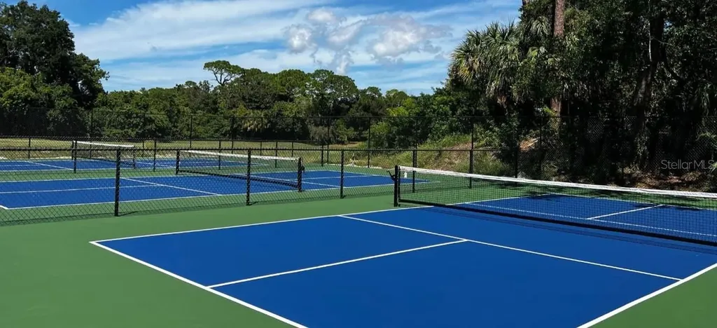 1577 Sandhill Court Palm Harbor FL 34683