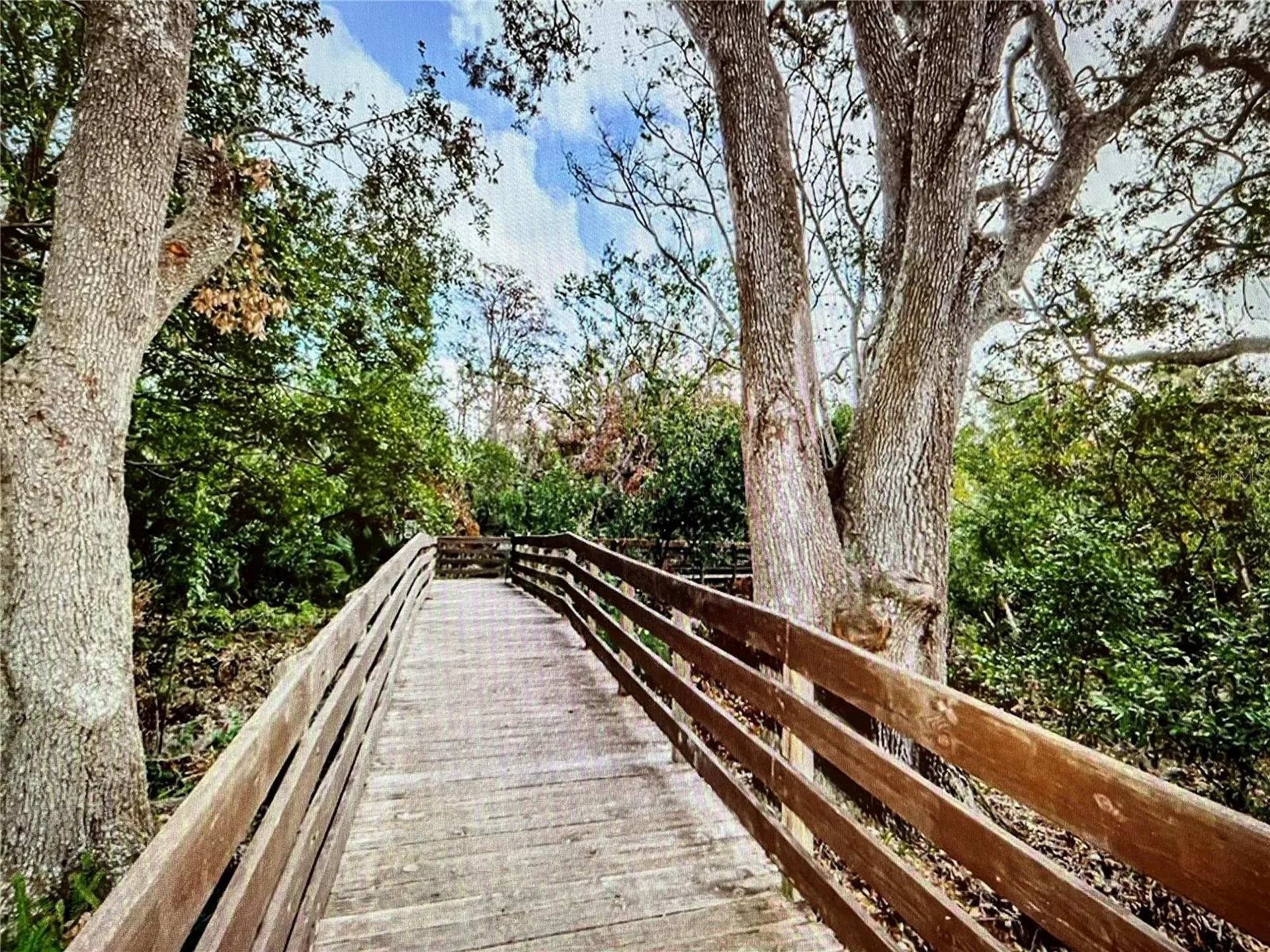 10201 Takomah Trail Tampa FL 33617